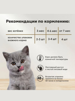 Влажный корм для котят Secret Life Force (Секрет) 0,085кг ягненок в соусе пауч. В комплекте 24 шт