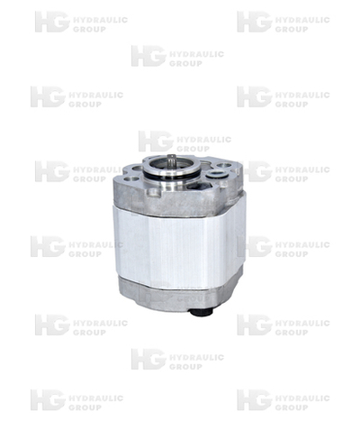 Шестеренный насос 10C2.70X302