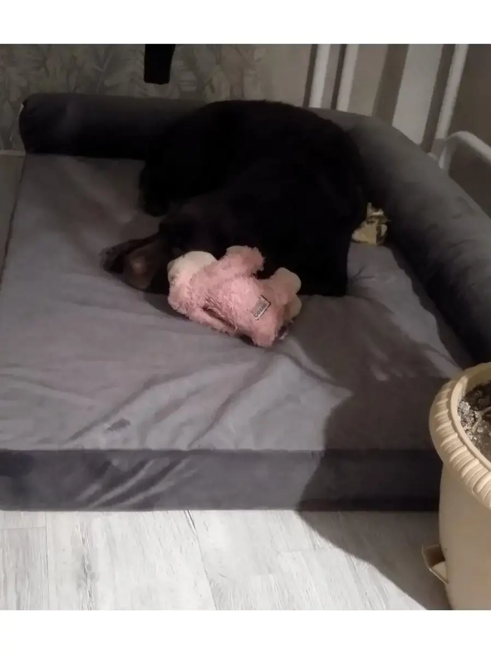 Лежанка для собак крупных пород 120 см