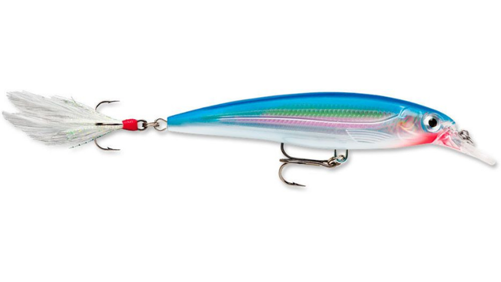 Воблер RAPALA X-Rap XR10 / 10 см, 13 г, цвет SB