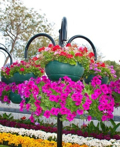 Цветочница Аллейная-4