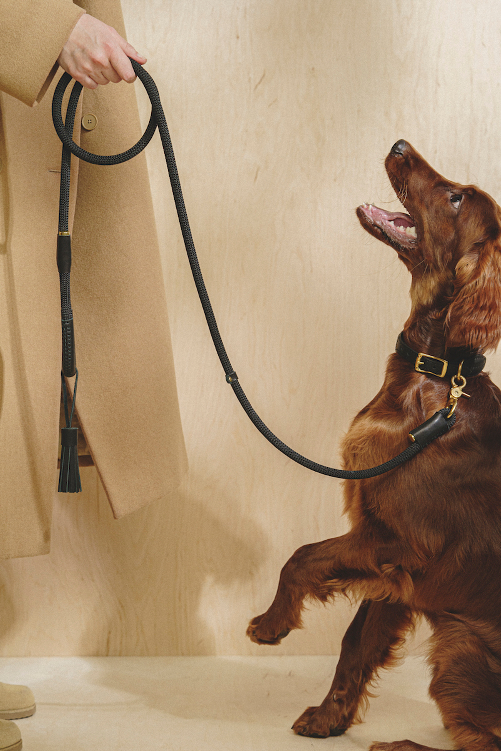 Ошейник "Пони-Макарони" Черный