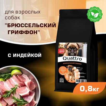 Корм сухой для взрослых собак породы Брюссельский гриффон, с индейкой, 800 гр, QUATTRO