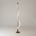 Напольный светильник (торшер) Maytoni MOD166FL-L15B3K