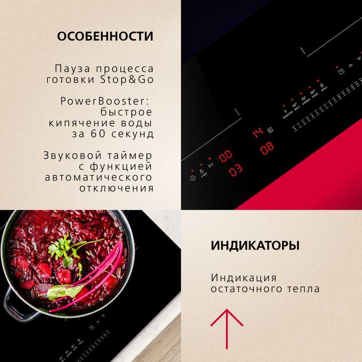 Индукционная панель Hansa BHI67606