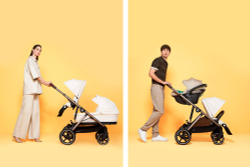 Прогулочная коляска Cybex Gazelle S