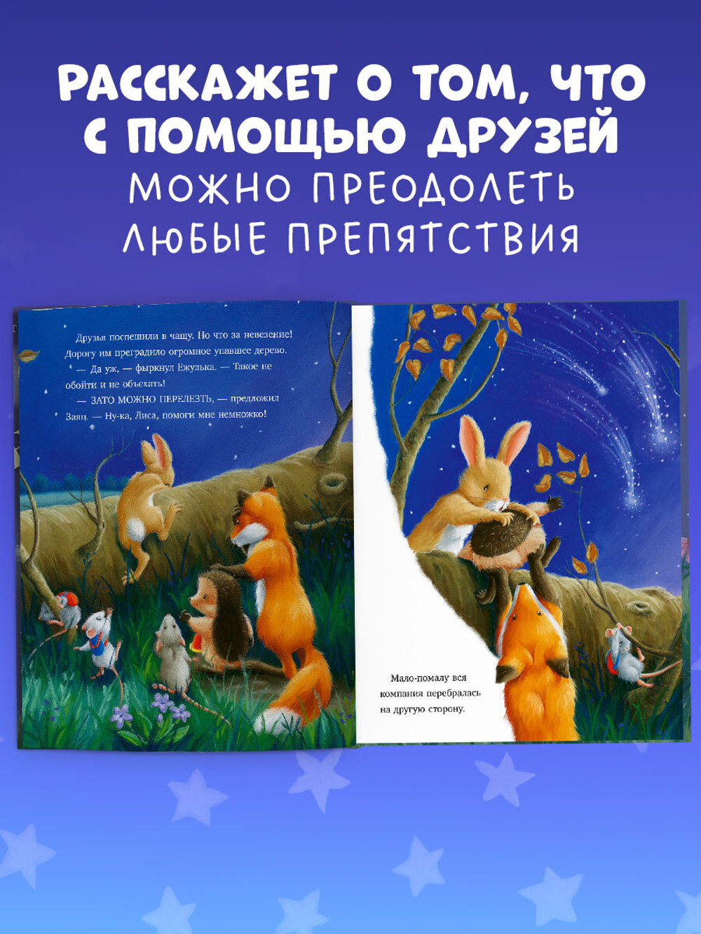 Приключения Ежульки (мягкая обложка). Самая звёздная ночь