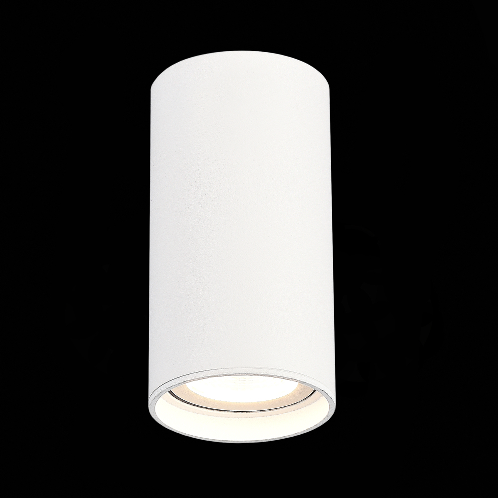 ST157.542.15 Светильник потолочный Белый LED 1*15W 4000K 1 200Lm Ra&gt;90 60° IP44 D75xH140 220-265V Накладные светильники