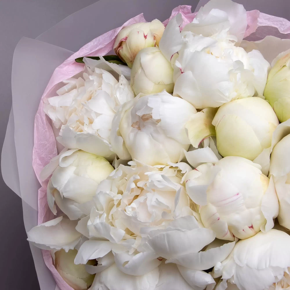 Пион Мэри Е.Николз 3-5 почек Закупка М81 октябрь 2026