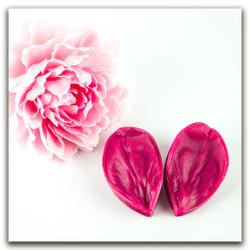 Лепестки пиона садового. Набор большой (Профи)