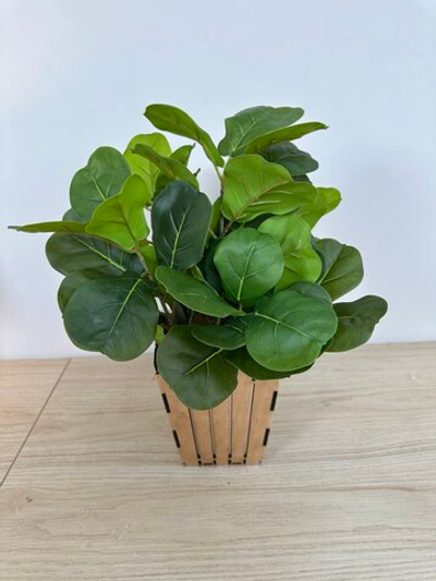 Лирата в коричневом кашпо, в-40 см