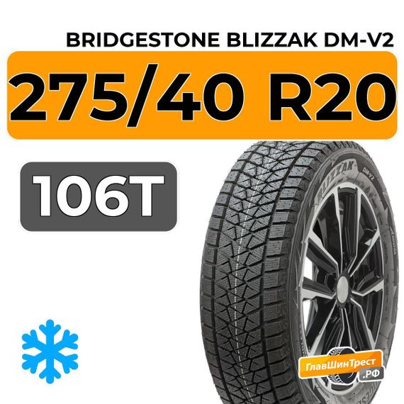 Bridgestone Blizzak DM-V2 275/40 R20 106T