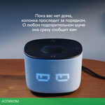 Умная колонка Sber Boom Home серый (SBDV-00171G)