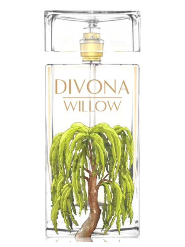 Divona Willow