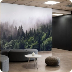 Фотообои 3D Лес в Тумане в спальню, в гостиную, на кухню 300х250