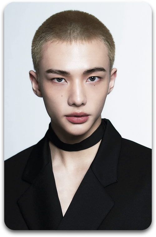 Карта / STRAY KIDS #2485