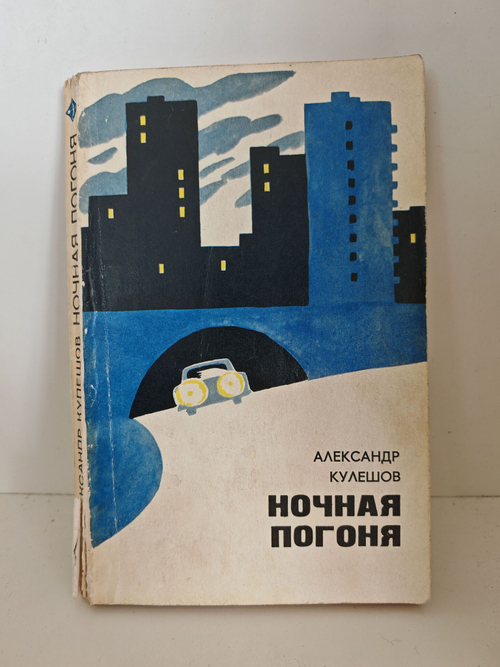 Ночная погоня