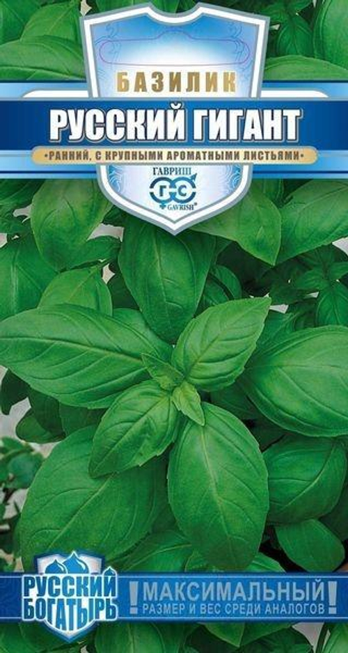 яяСемена Базилик Русский гигант зелёный