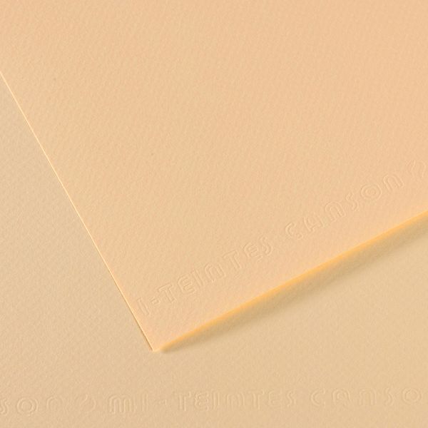 Бумага для пастели Mi-Teintes 160 г/м², 50х65 см, 10 л, №111 Слоновая кость, Canson, C31032S092