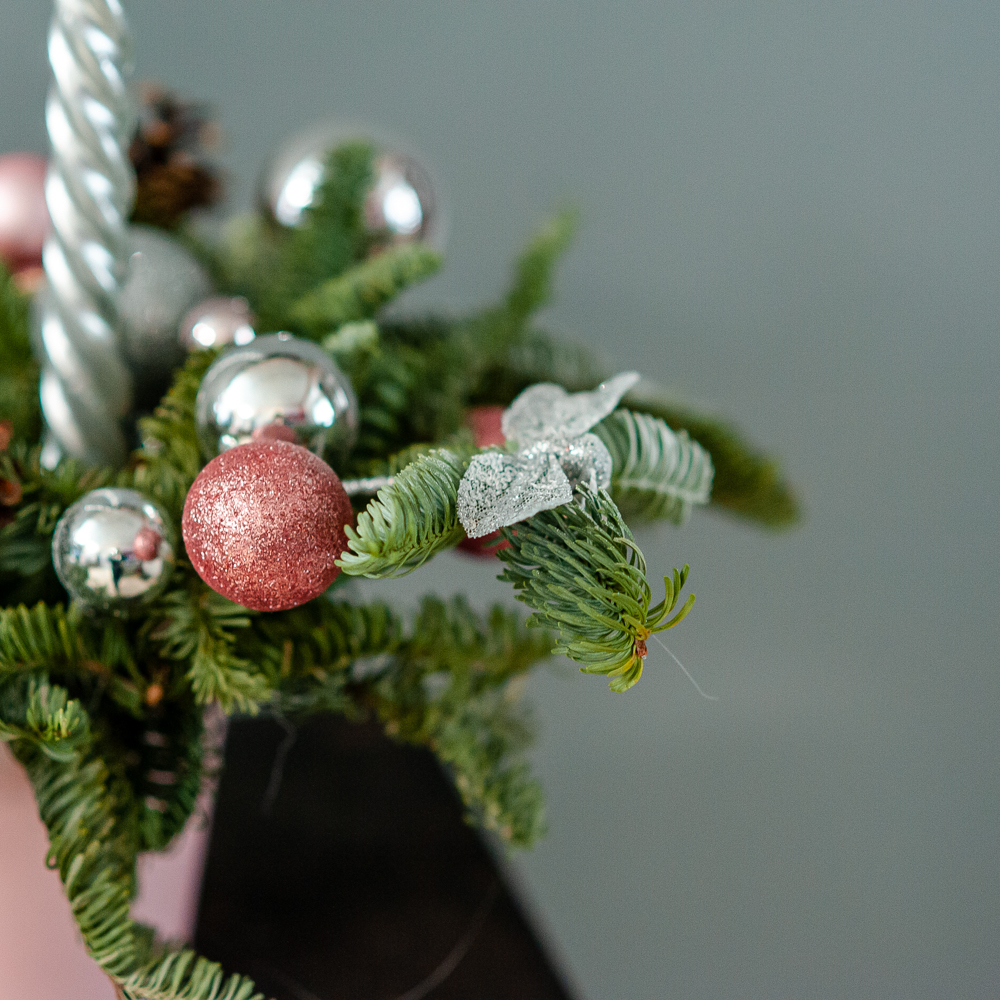 Новогодняя композиция из нобилиса 7