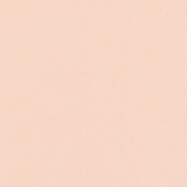 Бумага цветная 120 г/м², A4 21х29.7 см, 50 шт, 22 светло-персиковый/light peach, Vista-Artista MPO-A4