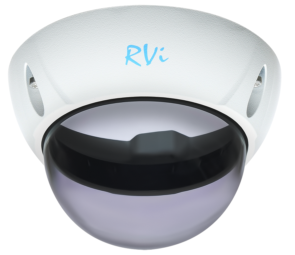 RVi-1DS3w Тонированный купол с белой рамкой