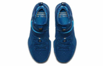 Кроссовки Nike Lebron 14 Agimat