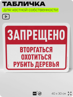 Табличка для частной территории "Запрещено вторгаться, охотиться и рубить деревья", на дом, для участка, организаций и частных территорий, 40х30 см, Silver Plane x Айдентика Технолоджи