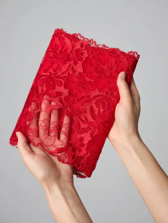 05-98 Вышивка на неэл. сетке 23 см, красный