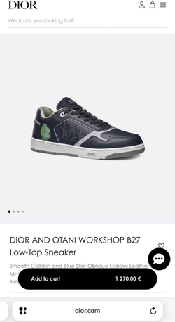 Кеды Dior