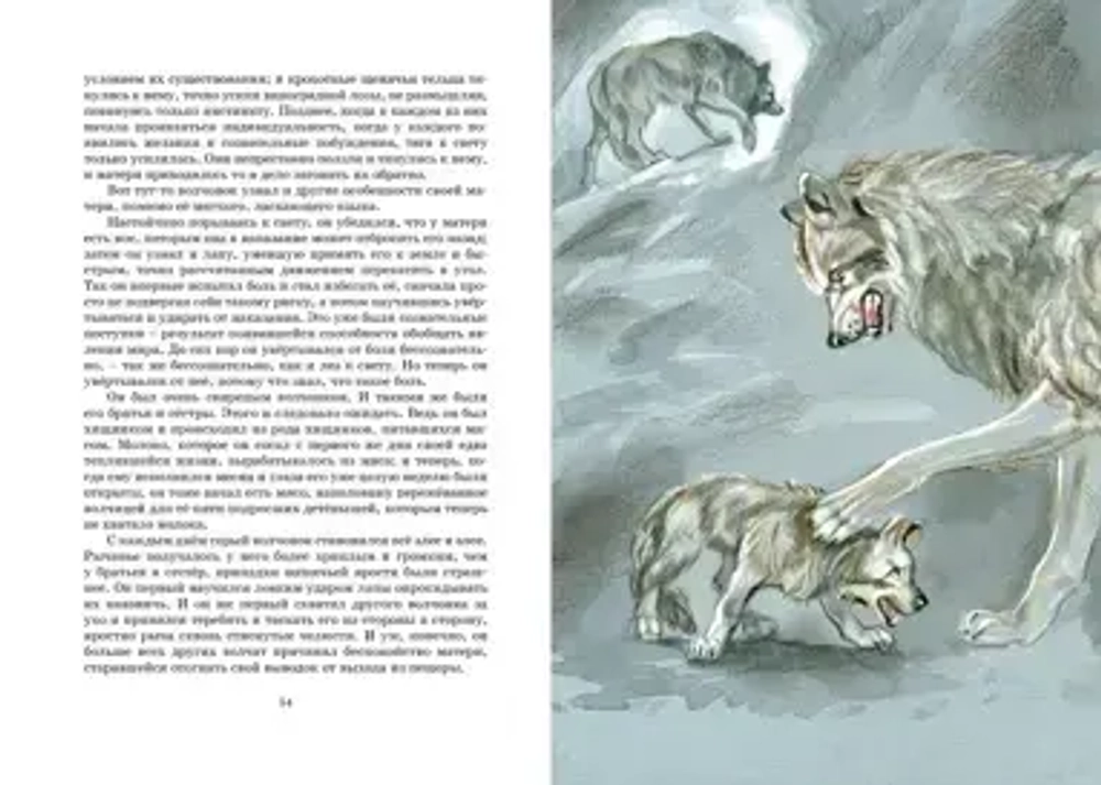 Белый клык