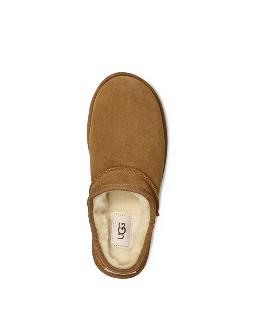 TASMAN CLASSIC-chestnut
