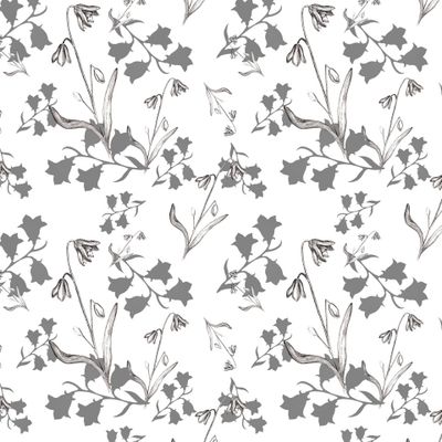 Полевые весенние цветы, графика, силуэты.