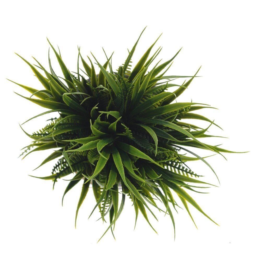 GAEM Цветочная композиция "Трава с папоротником", L12 W12 H17 см