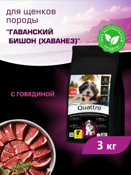 Корм сухой для щенков породы Гаванский бишон (Хаванез), с говядиной, 3 кг, QUATTRO
