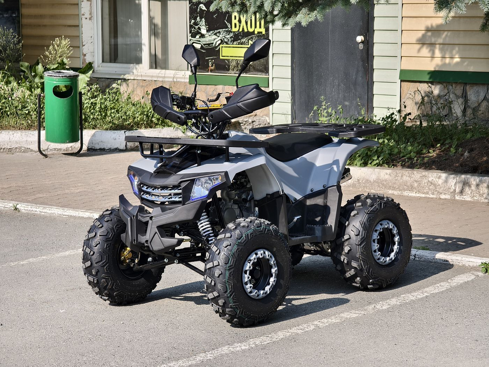 Lion 125 AA серый