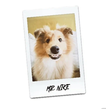 Банка 0.45 Mr. Nike // Ostrovica (Аша)