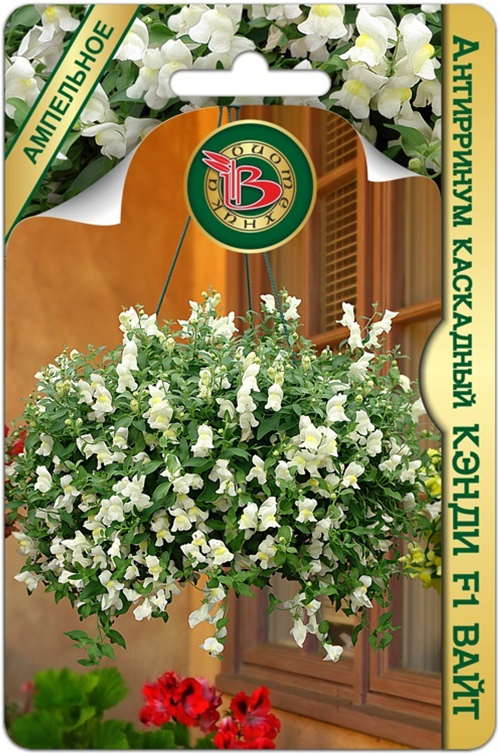 Антирринум Кэнди F1 Вайт  5шт Б/техн