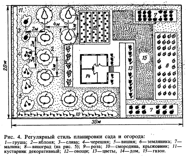 План участка сада: создаем проект мечты зимними вечерами План участка сада: создаем проект мечты зимними вечерами