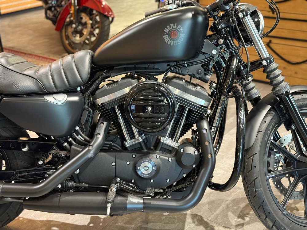 Harley-Davidson Iron 883 (2019)