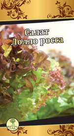 Салат Лолло Росса 0,5г Ц Волжский Сад