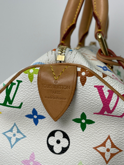 Сумка Louis Vuitton Speedy 30 Multicolor