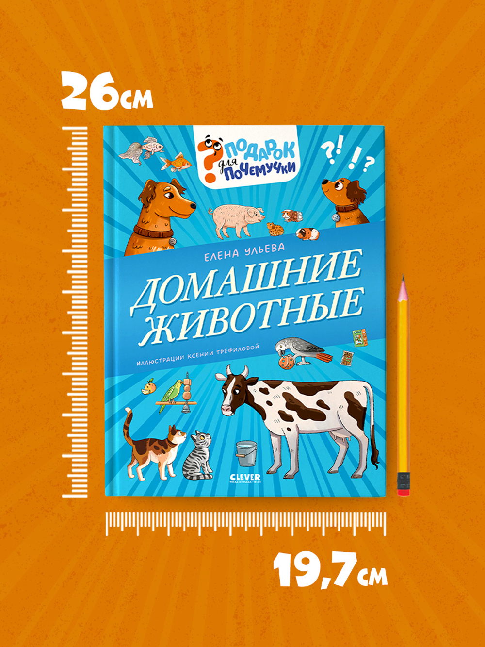Подарок для почемучки. Домашние животные