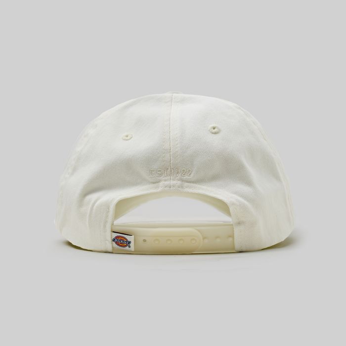 Кепка Dickies Hardwick 6 Panel Logo артикул:DK0A4TKVC581 - купить в магазине Дайс