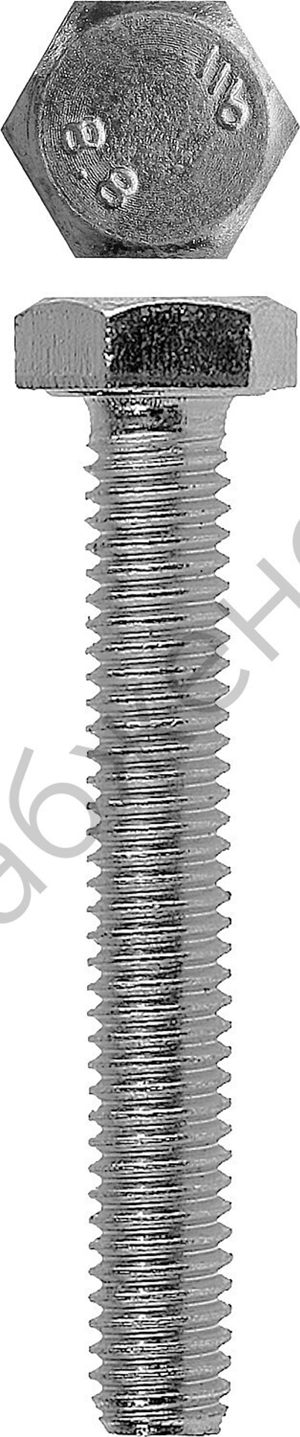 ЗУБР DIN 933 кл. пр. 5.8, M12 x 25 мм, болт оцинкованный, 4 шт (4-303076-12-025)