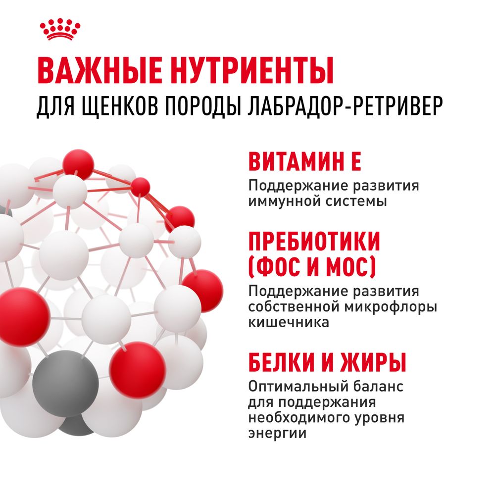 Сухой корм Royal Canin Labrador Retriever Puppy для щенков породы Лабрадор Ретривер до 15 месяцев Сухой корм Royal Canin Labrador Retriever Puppy для щенков породы Лабрадор Ретривер до 15 месяцев