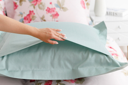 Постельное белье СайлиД BR-011 сатин