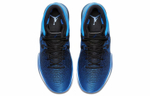 Кроссовки Jordan Air Jordan 31 Royal