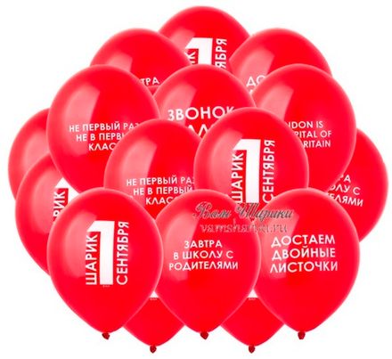 Шары "Шарик на 1 сентября с приколами"
