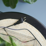 Флорариум с водопадом бонсай Фикус Будда